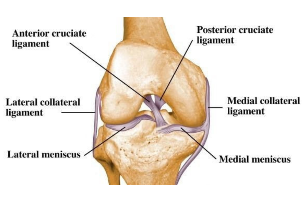 Multiligament Knee Reconstruction