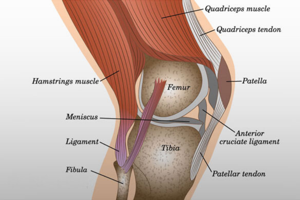 PCL Reconstruction